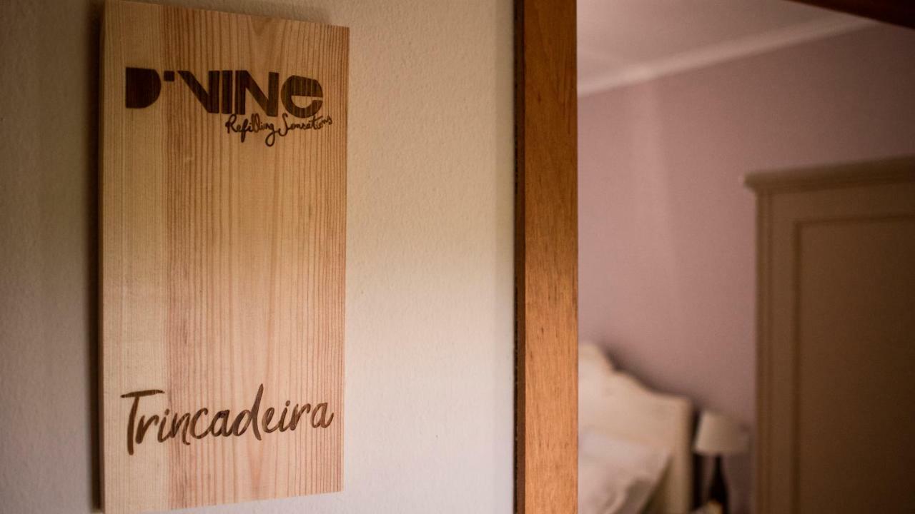 D'Vine - Country House Cartaxo Extérieur photo